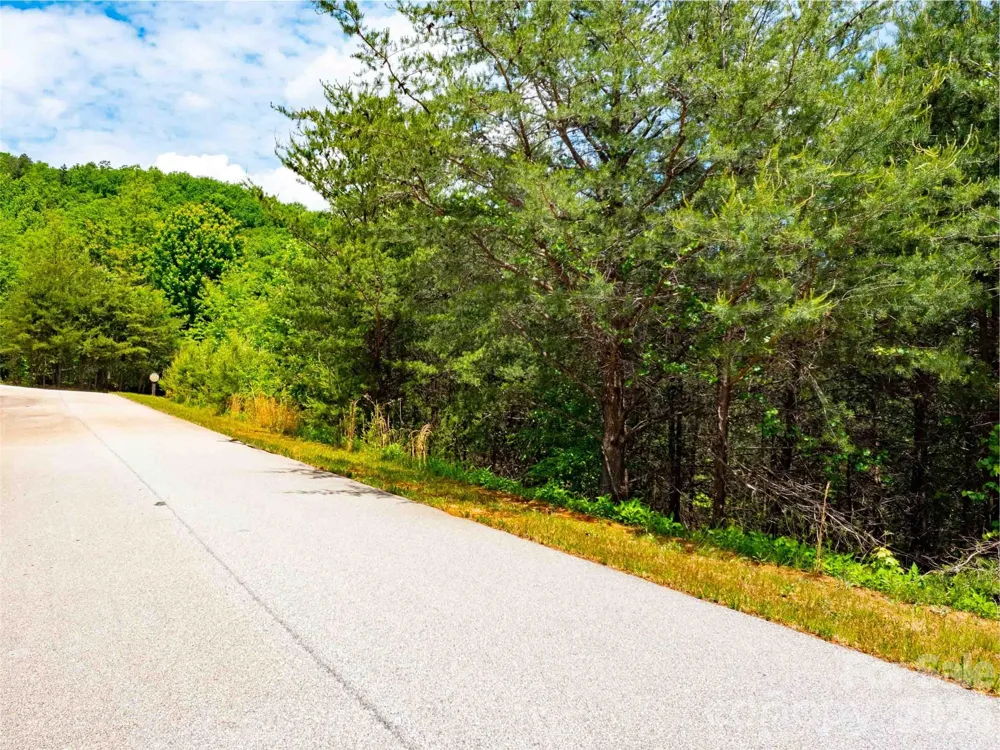 LOT 150 Birkdale Drive Mill Spring, NC 28756