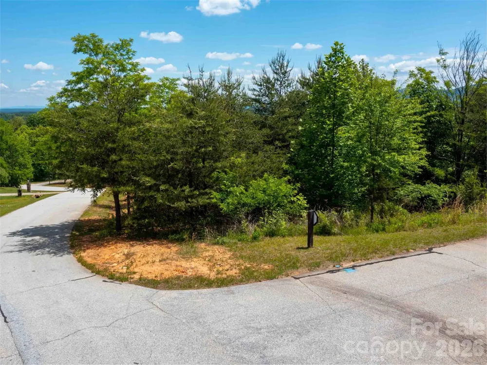 LOT 150 Birkdale Drive Mill Spring, NC 28756