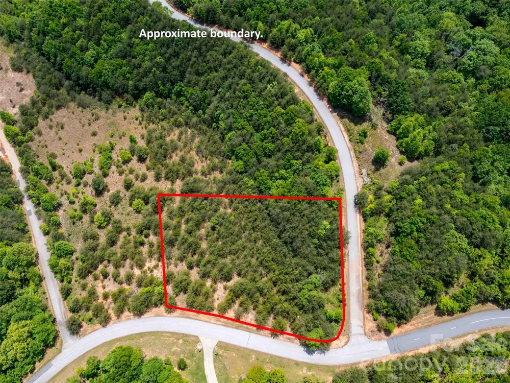 LOT 150 Birkdale Drive Mill Spring, NC 28756