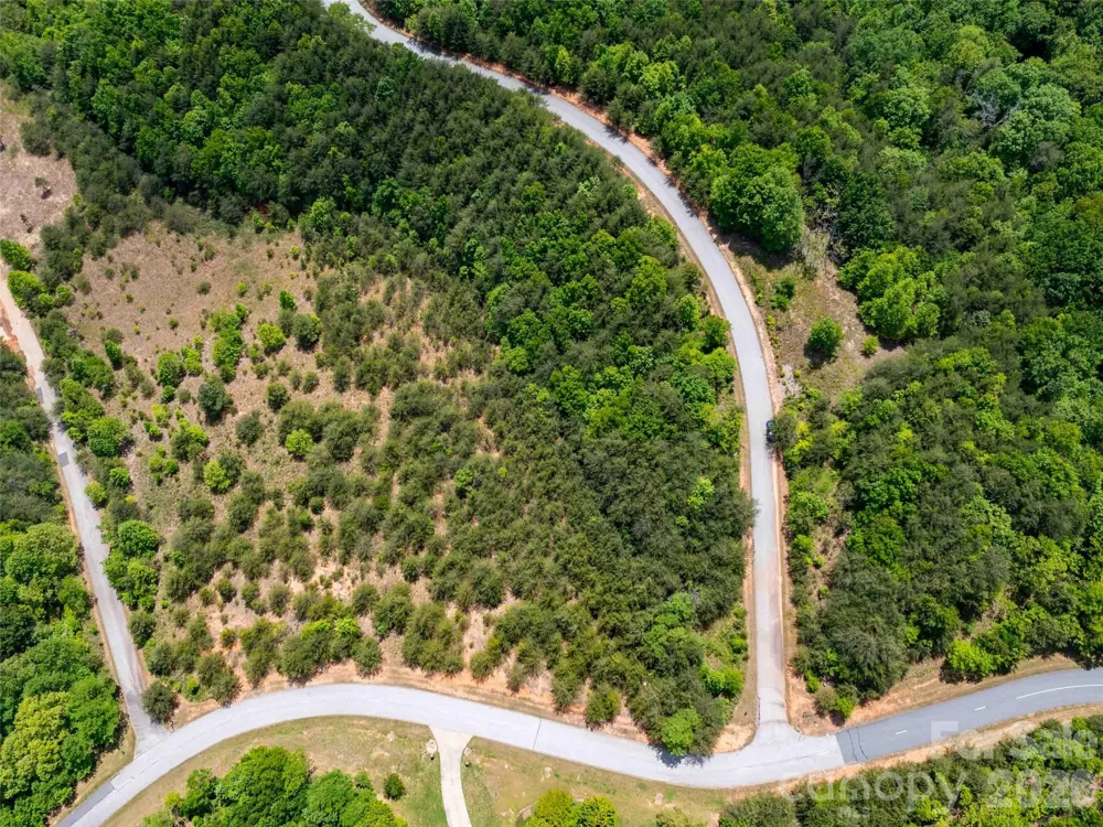 LOT 150 Birkdale Drive Mill Spring, NC 28756