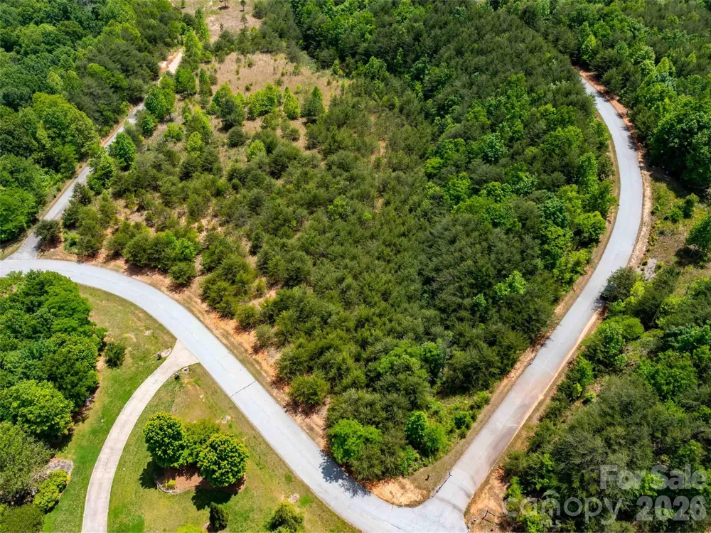 LOT 150 Birkdale Drive Mill Spring, NC 28756