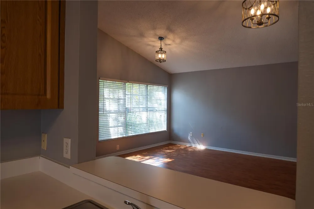 1851 FALLING STAR LANE Lutz, FL 33549