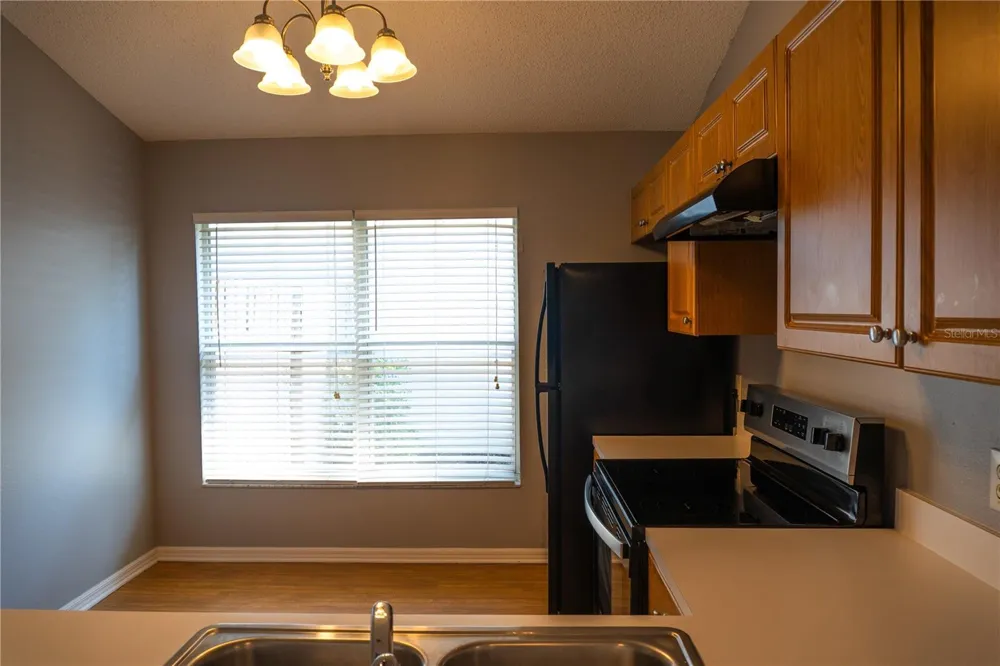 1851 FALLING STAR LANE Lutz, FL 33549