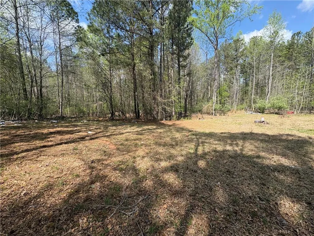 374 S Alexander Creek Road Newnan, GA 30263