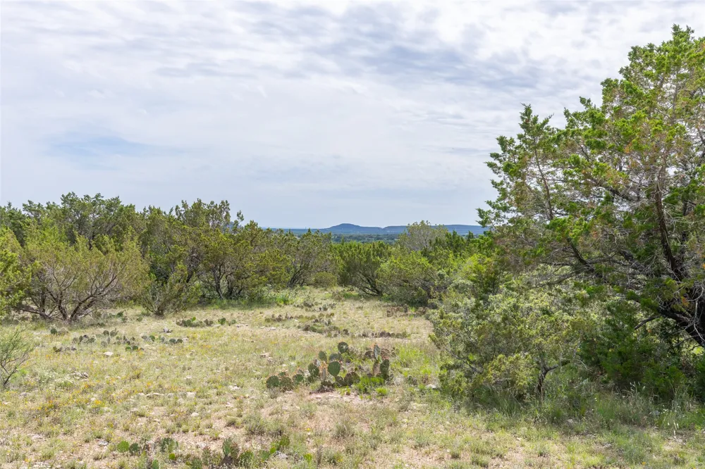 County Road 220 No City, TX 79566