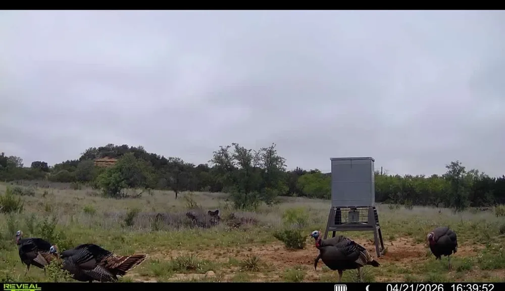County Road 220 No City, TX 79566
