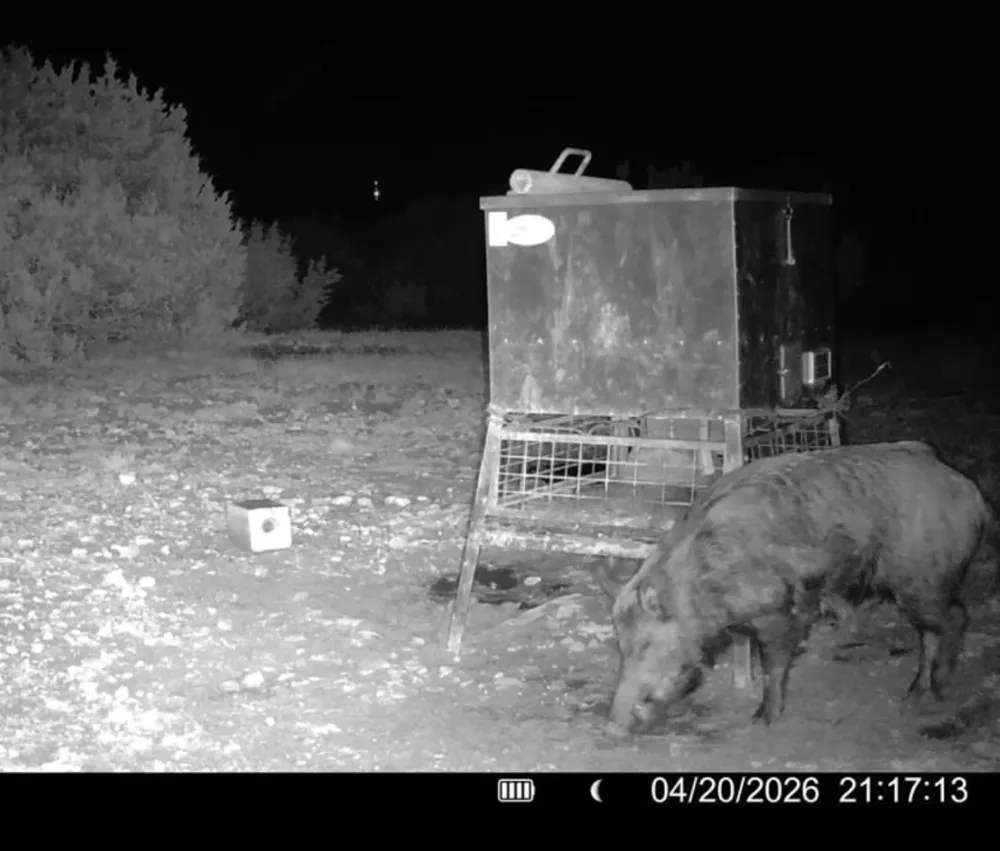 County Road 220 No City, TX 79566
