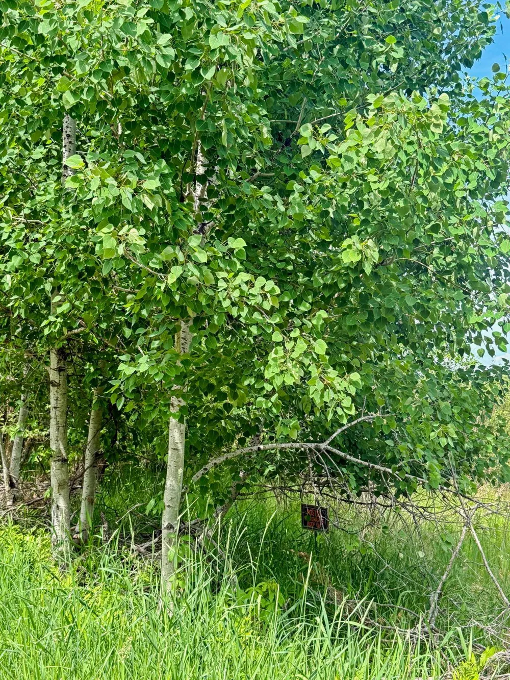 0000 Paradise Trail NW Isanti, MN 55040