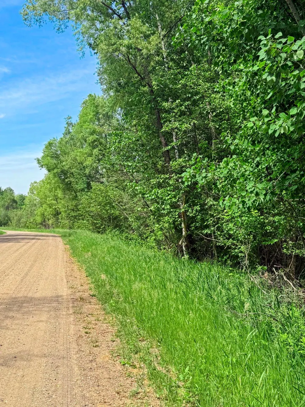 0000 Paradise Trail NW Isanti, MN 55040