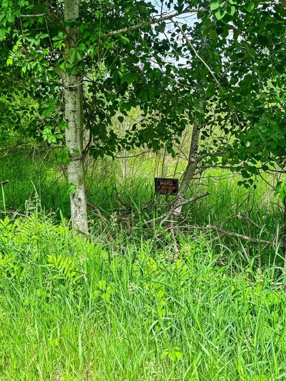 0000 Paradise Trail NW Isanti, MN 55040