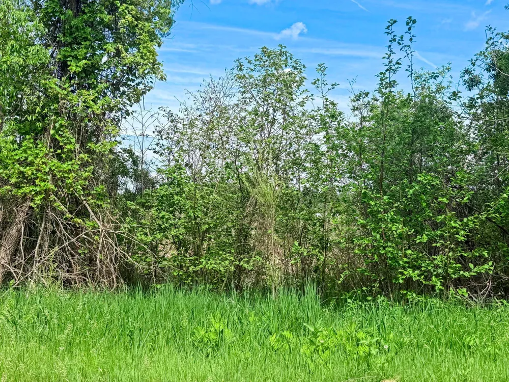 0000 Paradise Trail NW Isanti, MN 55040