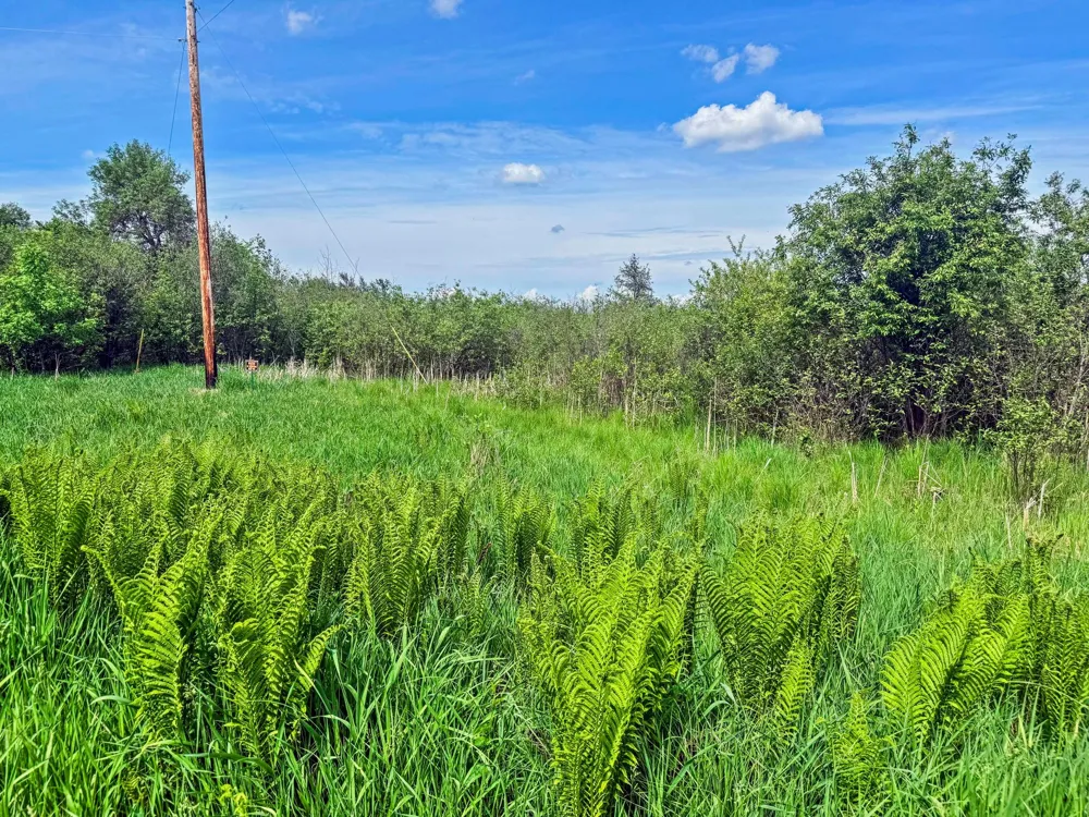 0000 Paradise Trail NW Isanti, MN 55040