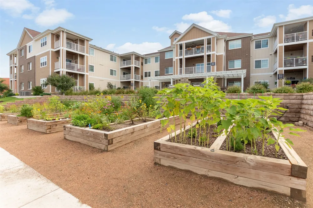 8381 Davis Boulevard #306 North Richland Hills, TX 76182