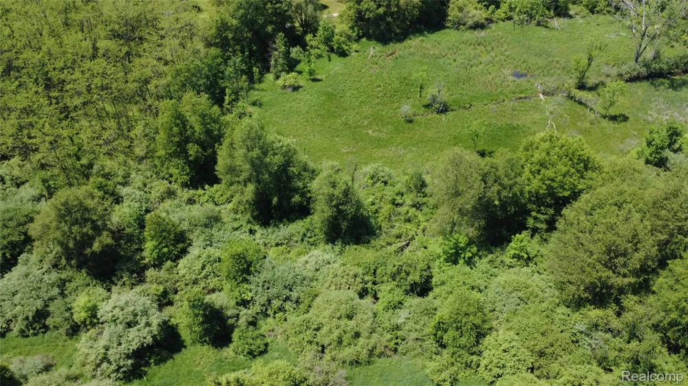 Wasson Road Unadilla Township, MI 48137