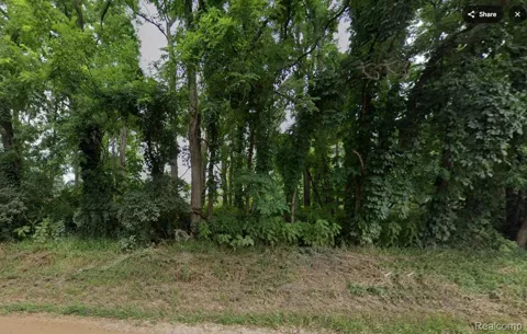 Wasson Road