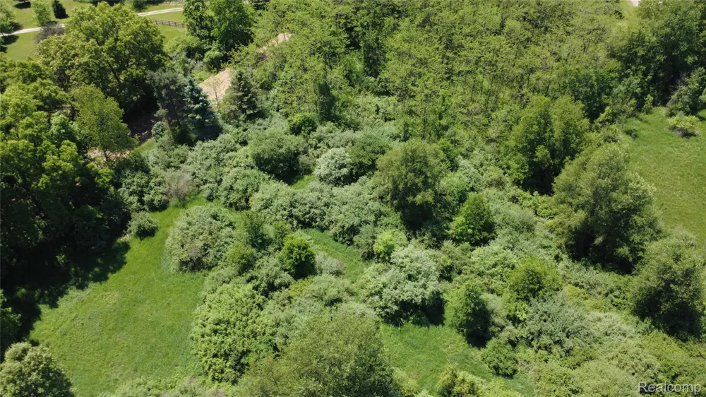 Wasson Road Unadilla Township, MI 48137