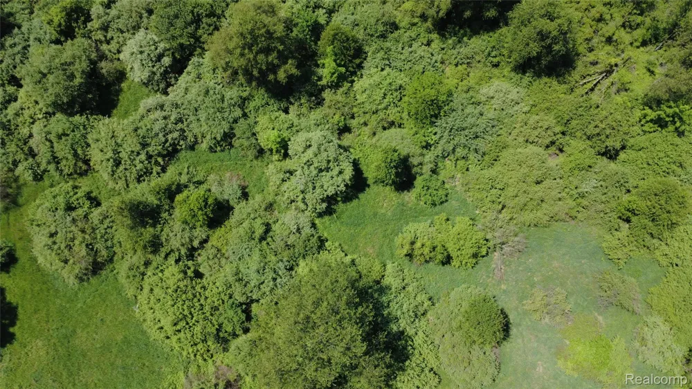 Wasson Road Unadilla Township, MI 48137