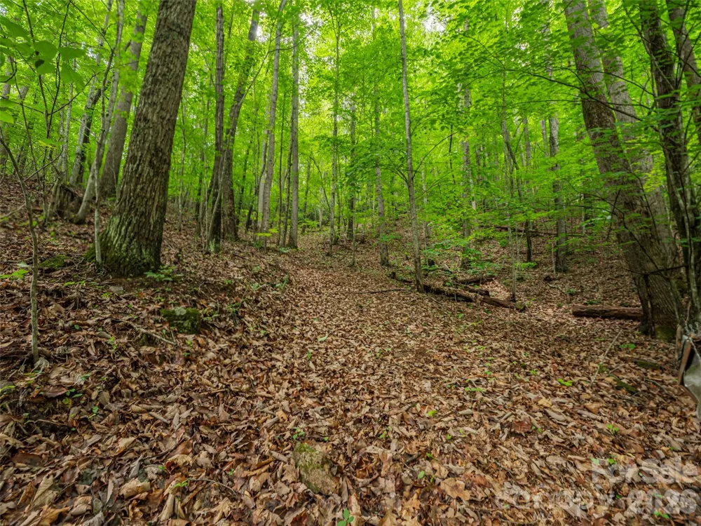 68 Long Ridge Road Candler, NC 28715