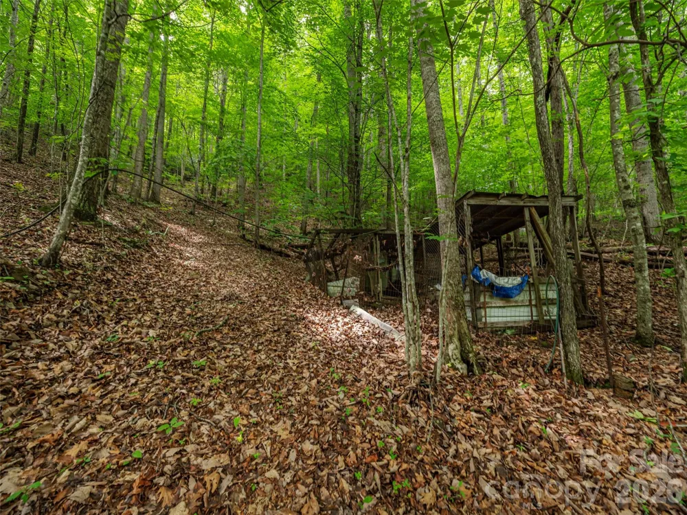 68 Long Ridge Road Candler, NC 28715