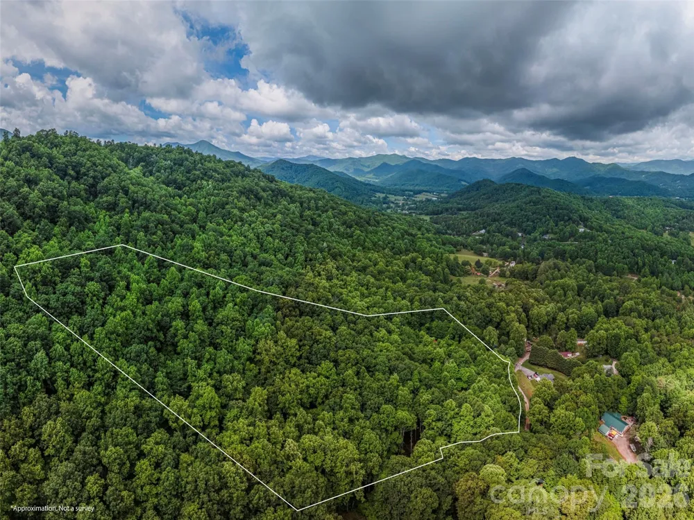 68 Long Ridge Road Candler, NC 28715
