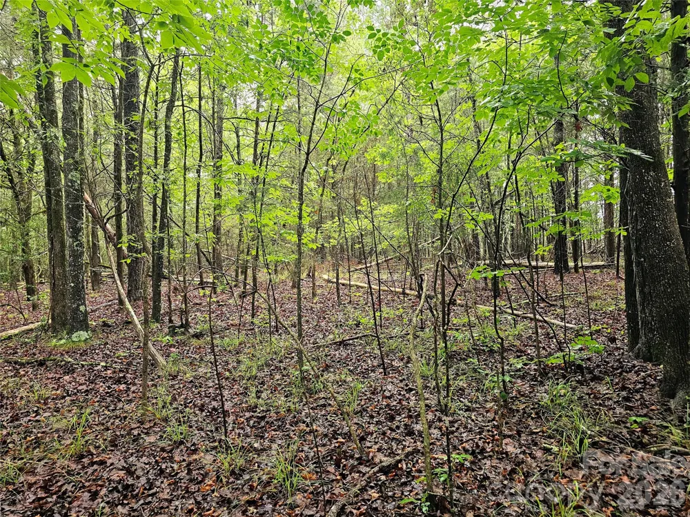 0000 Shirley Road Fort Lawn, SC 29714