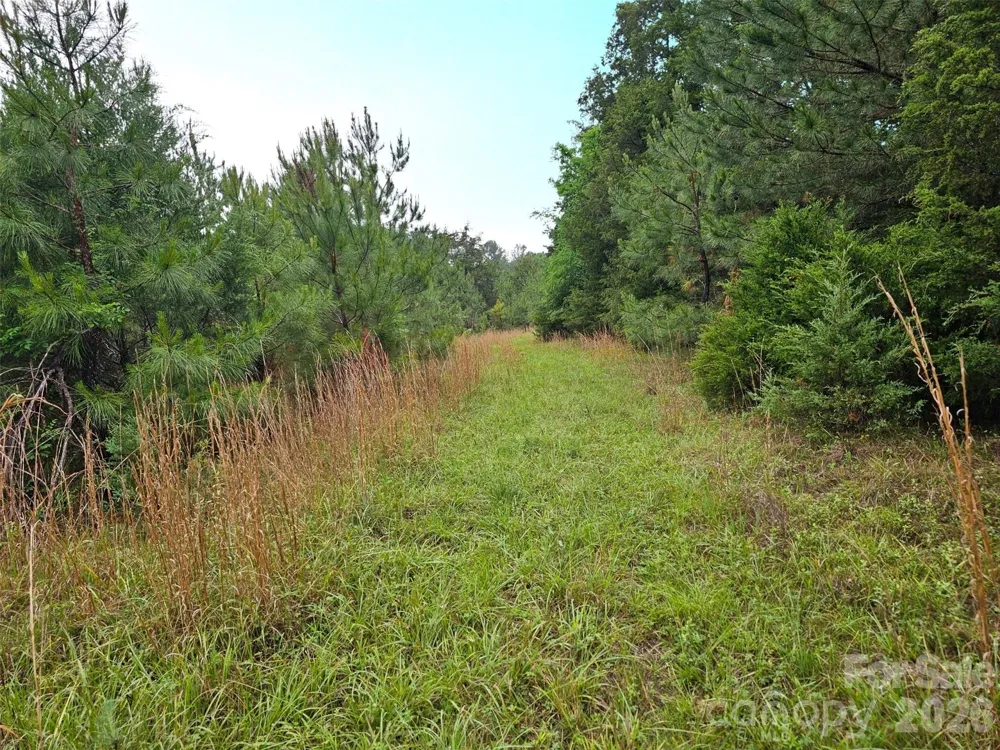 0000 Shirley Road Fort Lawn, SC 29714