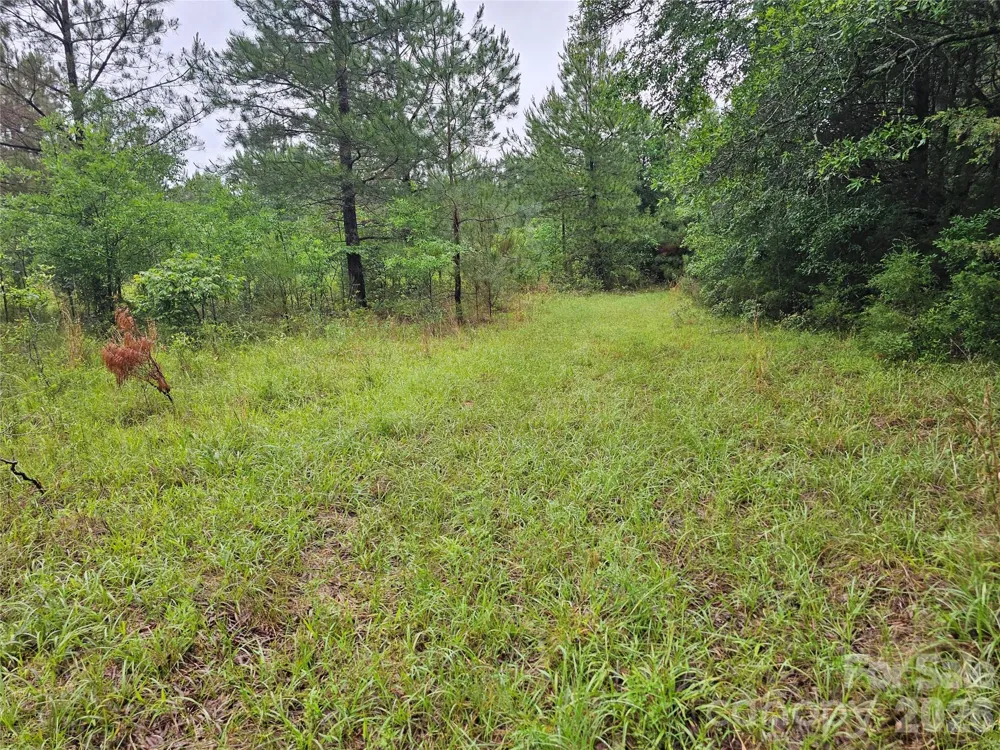 0000 Shirley Road Fort Lawn, SC 29714