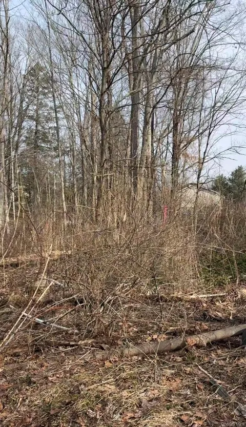 19 & 25 Clearbrook Drive
