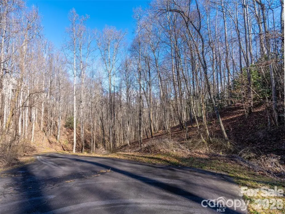 19 & 20 Marcus Ridge Drive #26/34 Fairview, NC 28730