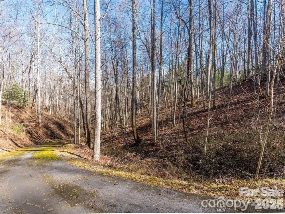 19 & 20 Marcus Ridge Drive #26/34 Fairview, NC 28730