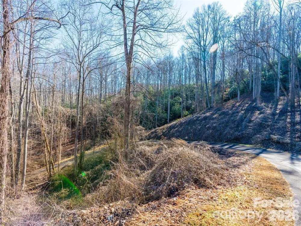 19 & 20 Marcus Ridge Drive #26/34 Fairview, NC 28730