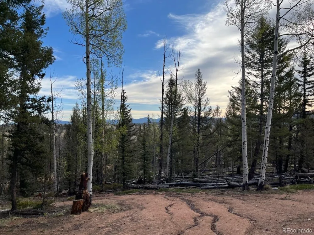 258 Old Squaw Road Como, CO 80432