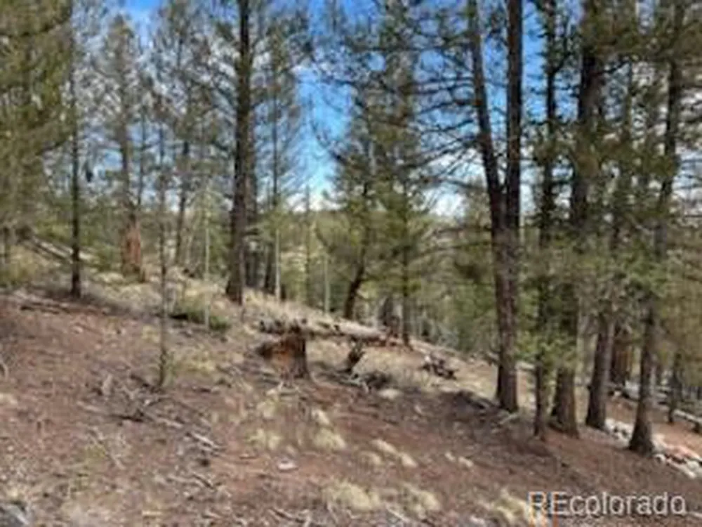 258 Old Squaw Road Como, CO 80432