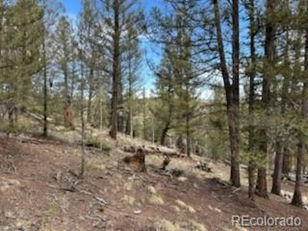 258 Old Squaw Road Como, CO 80432