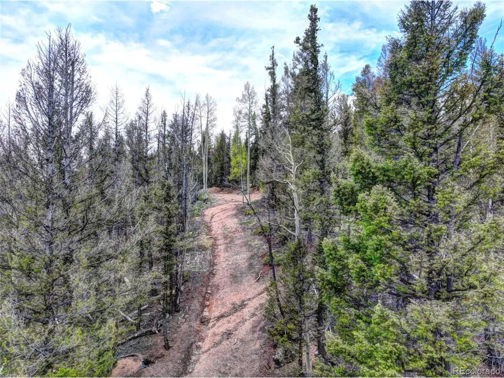 258 Old Squaw Road Como, CO 80432