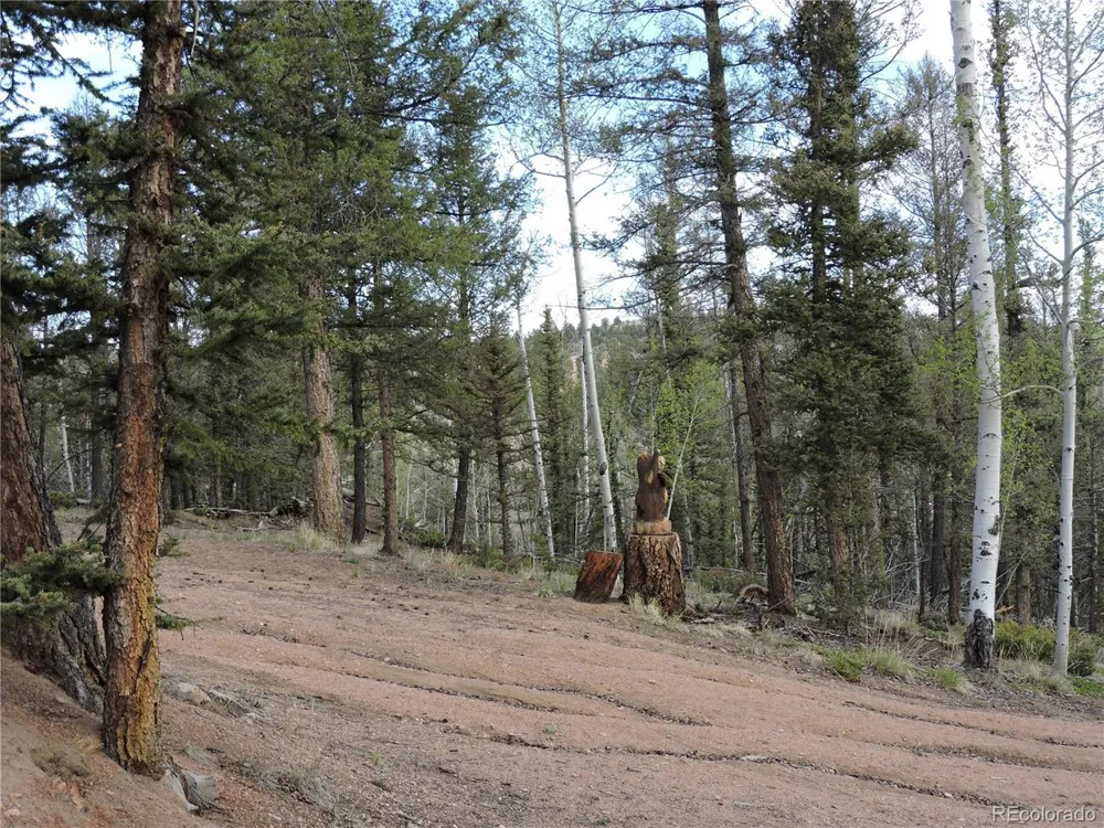 258 Old Squaw Road Como, CO 80432