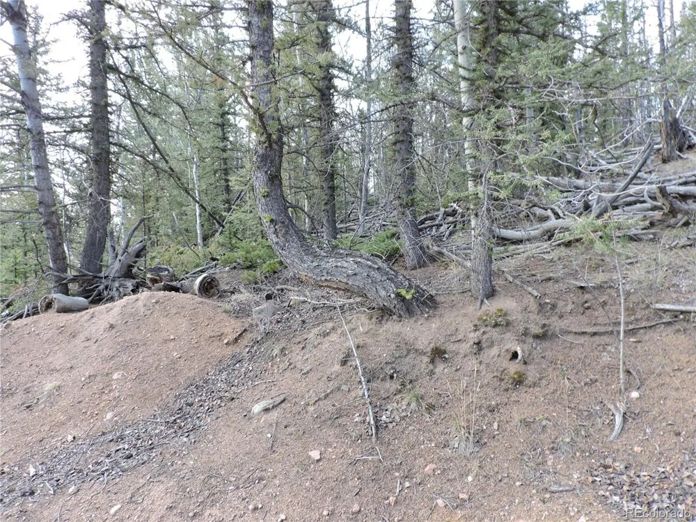 258 Old Squaw Road Como, CO 80432
