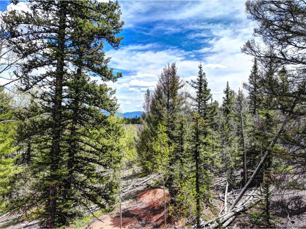 258 Old Squaw Road Como, CO 80432
