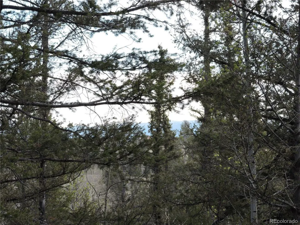 258 Old Squaw Road Como, CO 80432