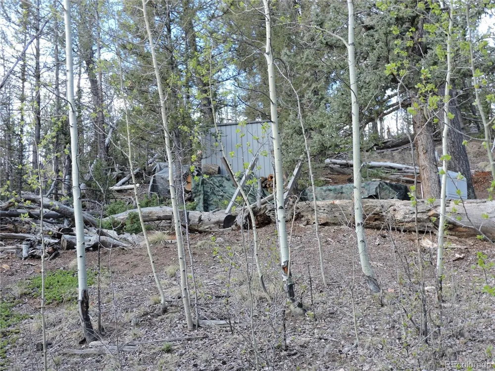 258 Old Squaw Road Como, CO 80432