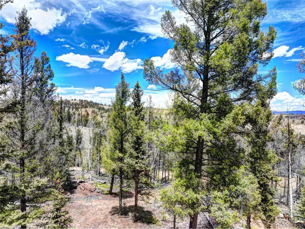 258 Old Squaw Road Como, CO 80432