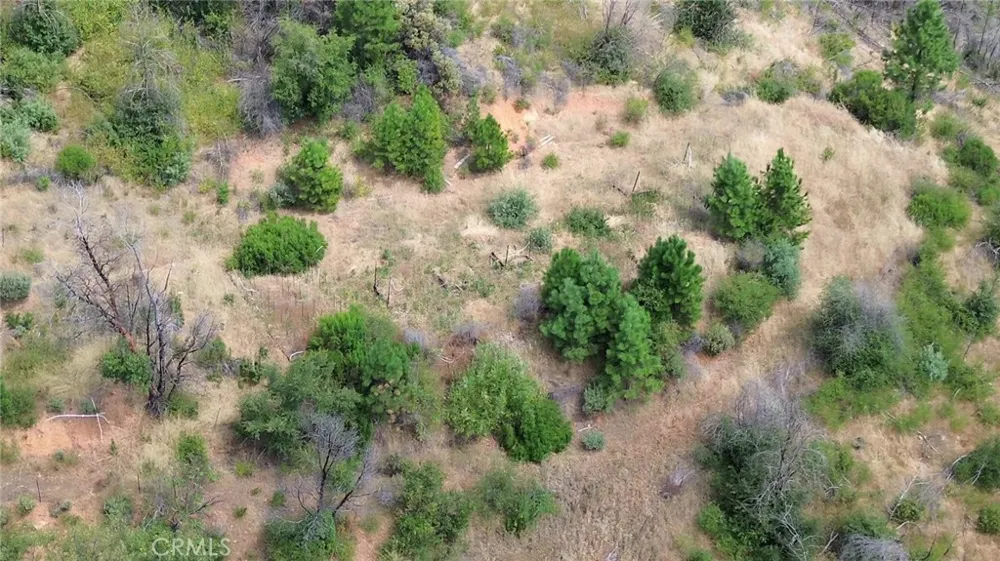 Feather Ridge Way Berry Creek, CA 95916