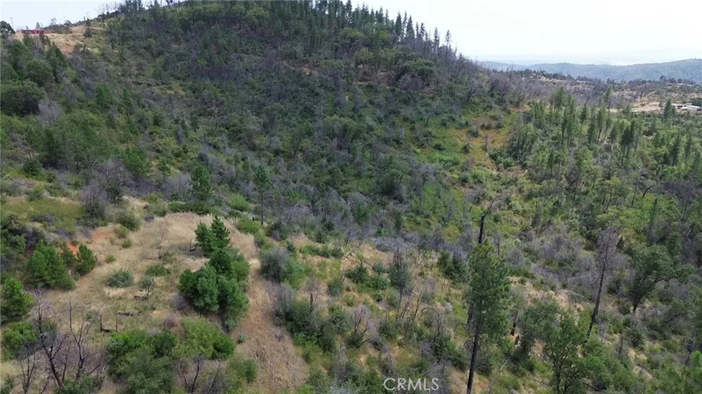 Feather Ridge Way Berry Creek, CA 95916