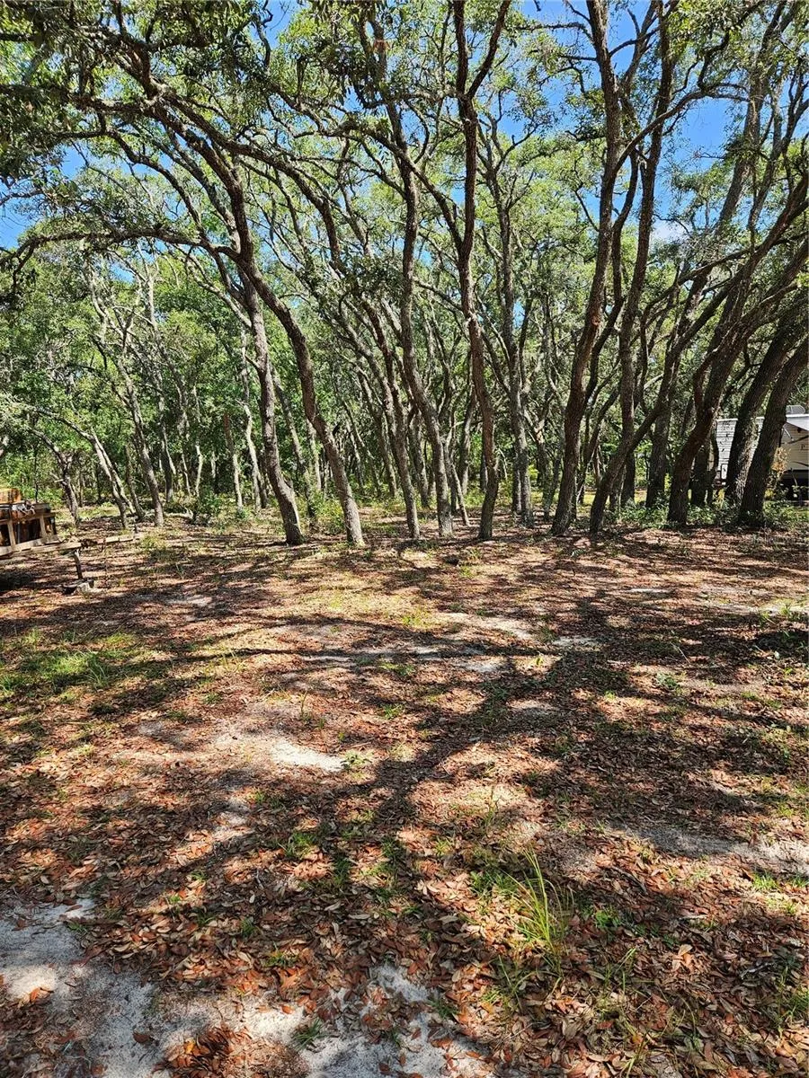 4300 W ROADRUNNER COURT Homosassa, FL 34446