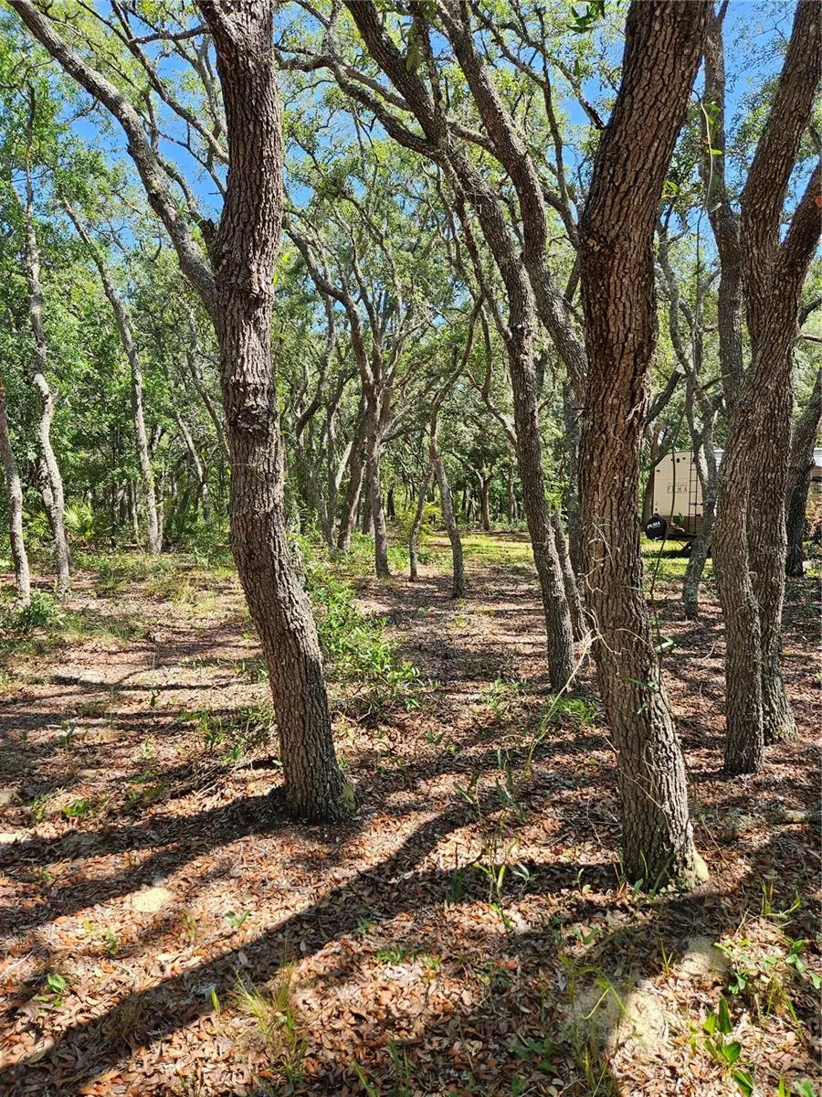 4300 W ROADRUNNER COURT Homosassa, FL 34446