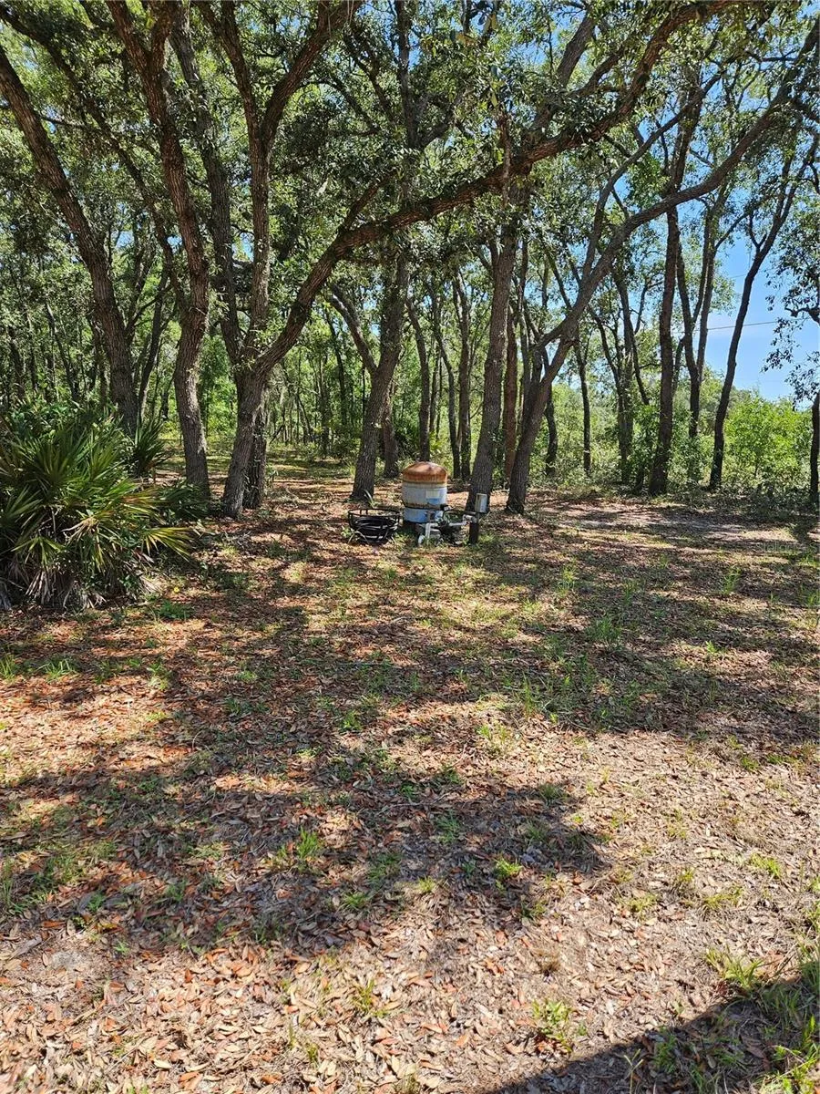 4300 W ROADRUNNER COURT Homosassa, FL 34446