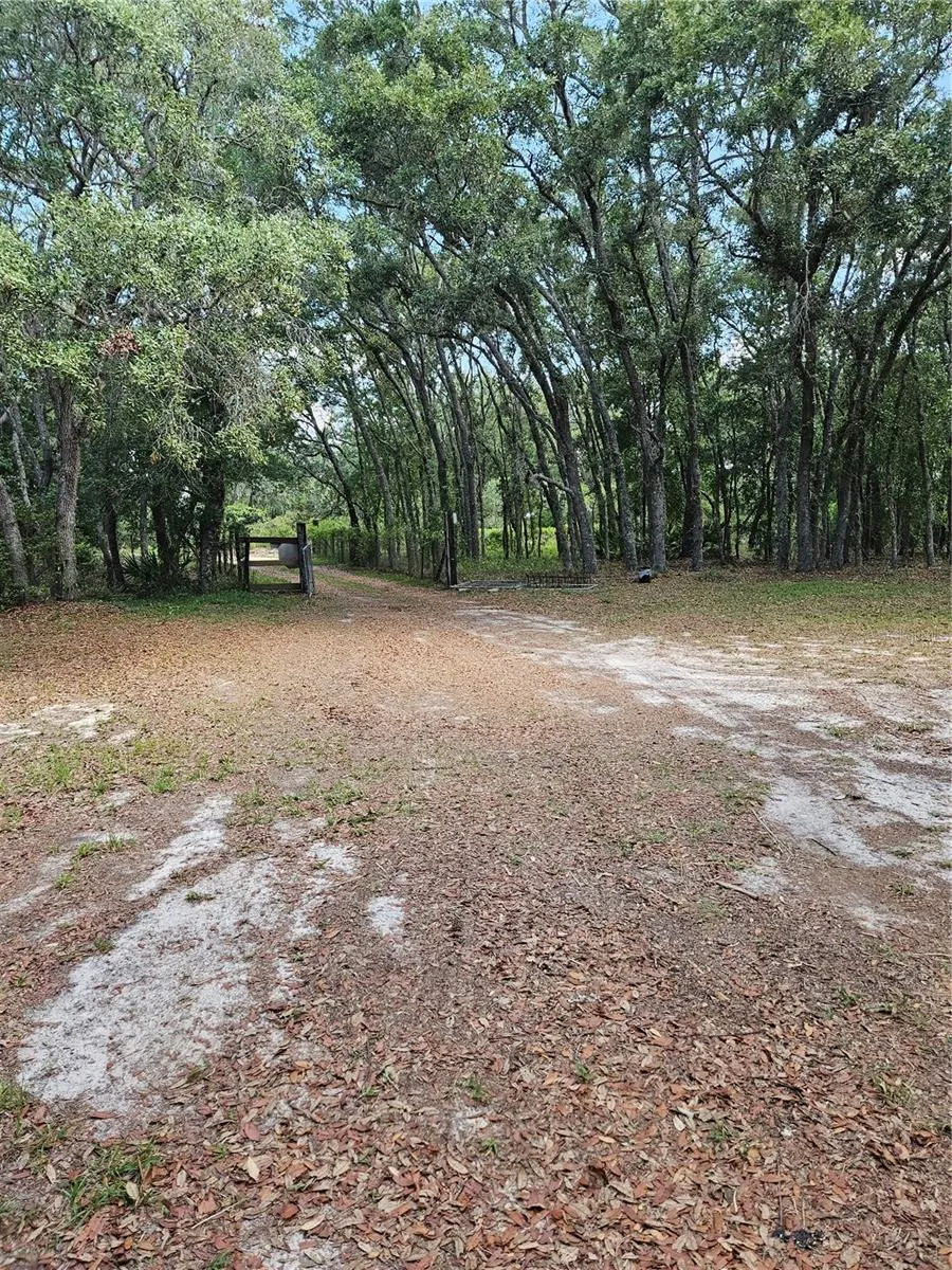 4300 W ROADRUNNER COURT Homosassa, FL 34446