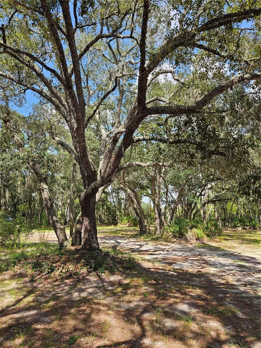 4300 W ROADRUNNER COURT Homosassa, FL 34446