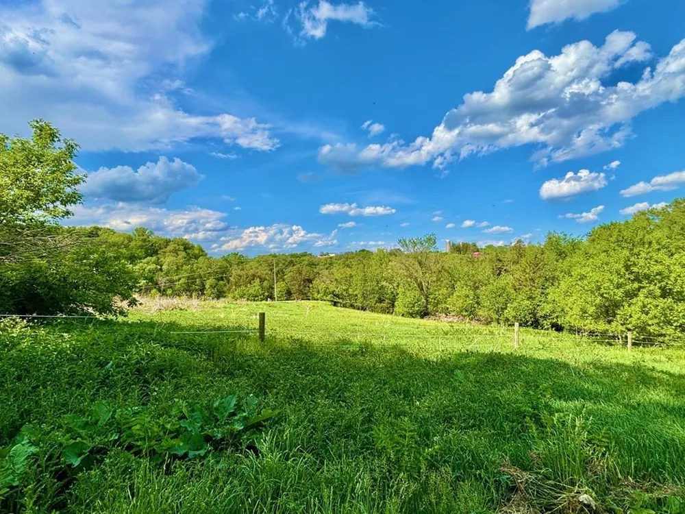22966 Grosbeak Road Lanesboro, MN 55949