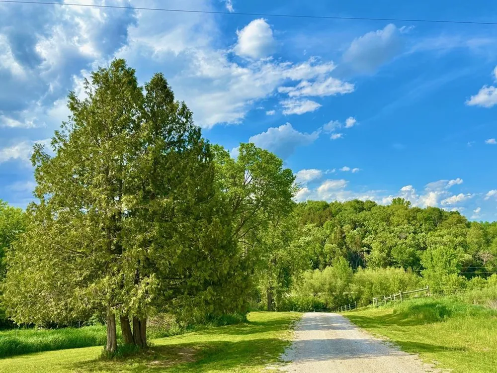 22966 Grosbeak Road Lanesboro, MN 55949
